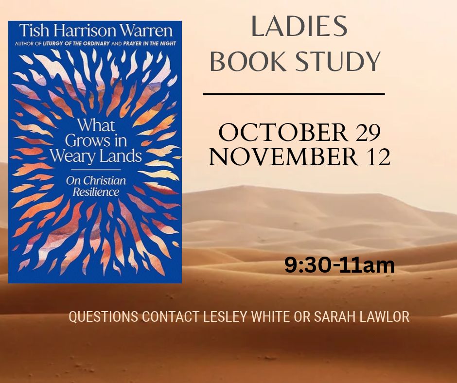 Womens Fall Study (3)